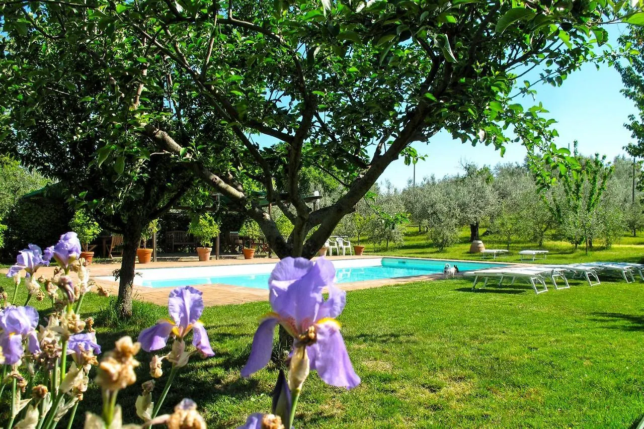 וולטרה Agriturismo Filettro 0*,  איטליה
