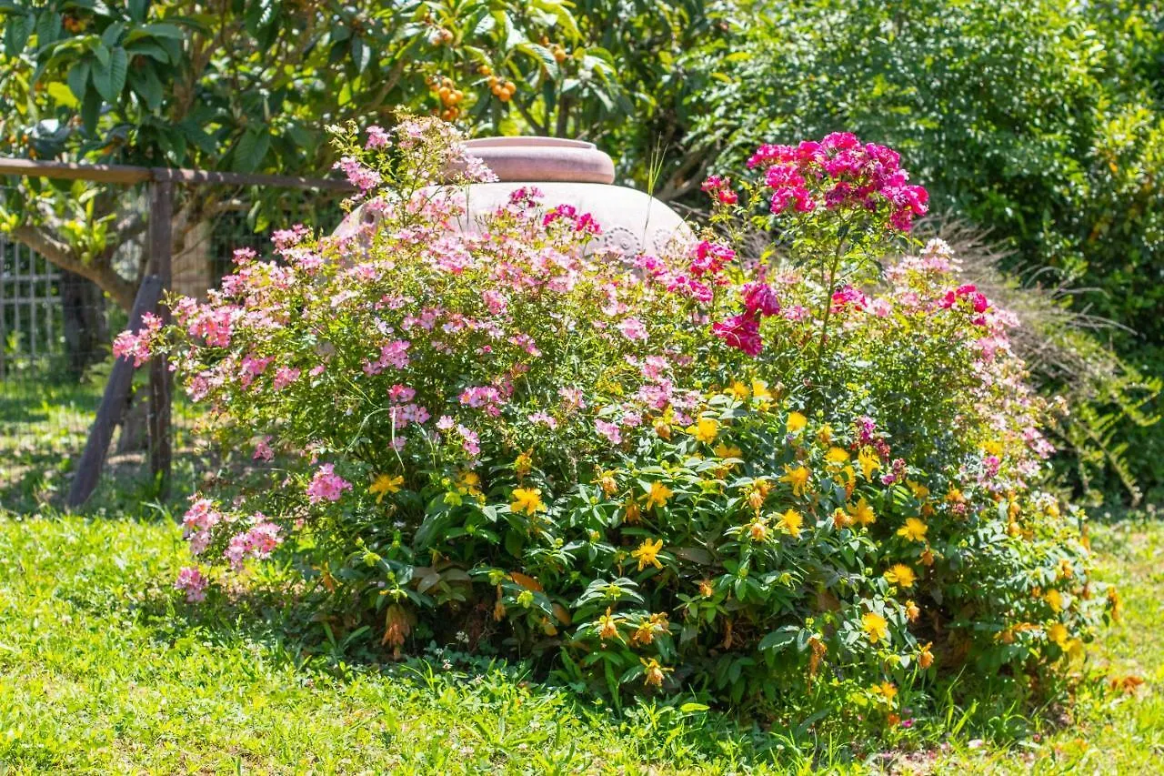 בית חווה וולטרה Agriturismo Filettro