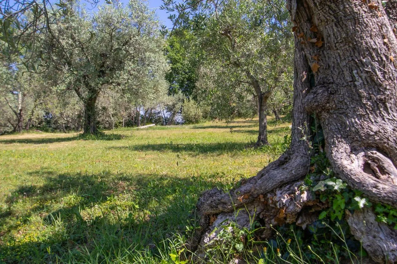 בית חווה וולטרה Agriturismo Filettro