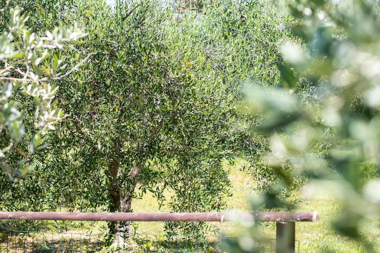 Agriturismo Filettro Volterra 0*,  Italien