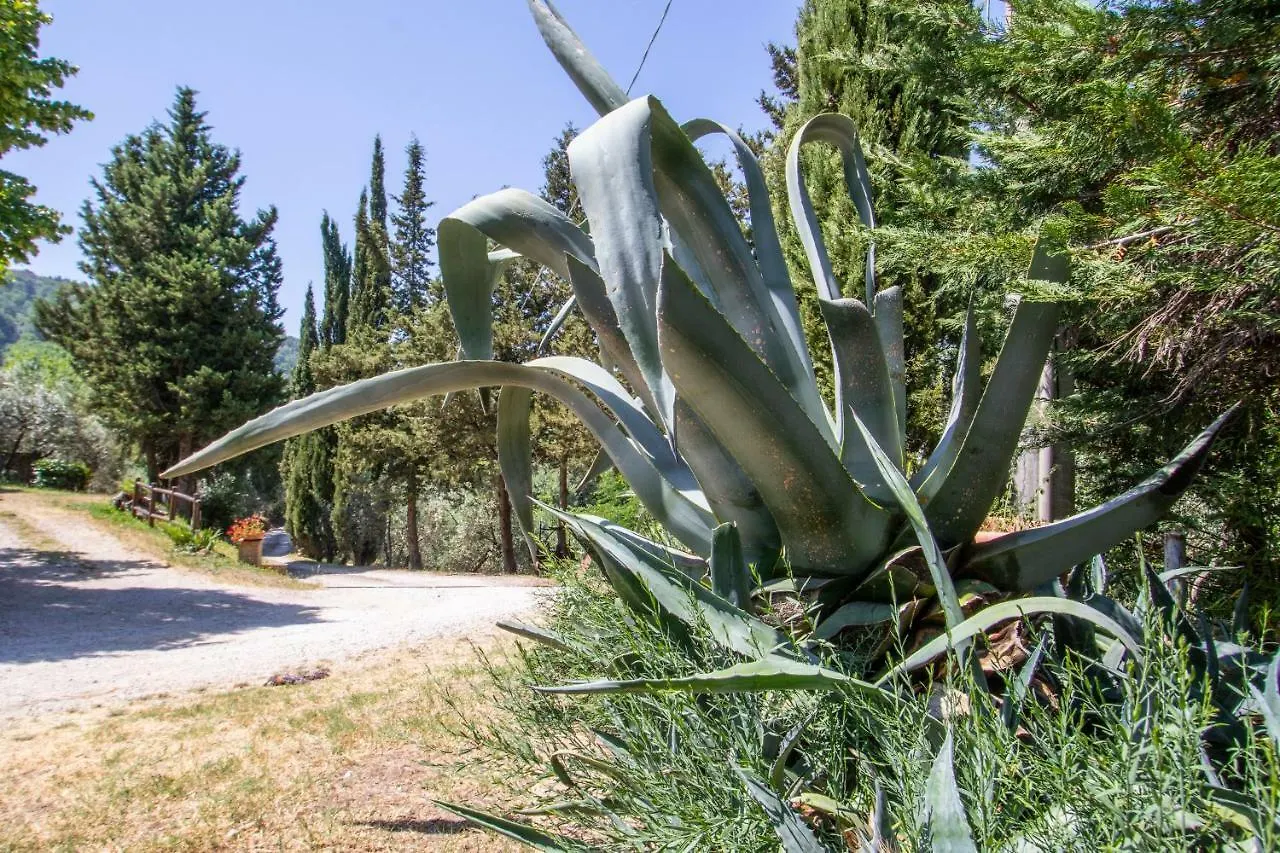 Agriturismo Filettro Volterra Bauernhof
